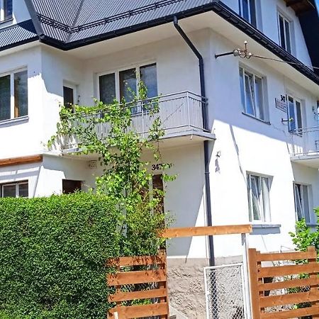 Krolowka Макув-Подхаляньский Экстерьер фото